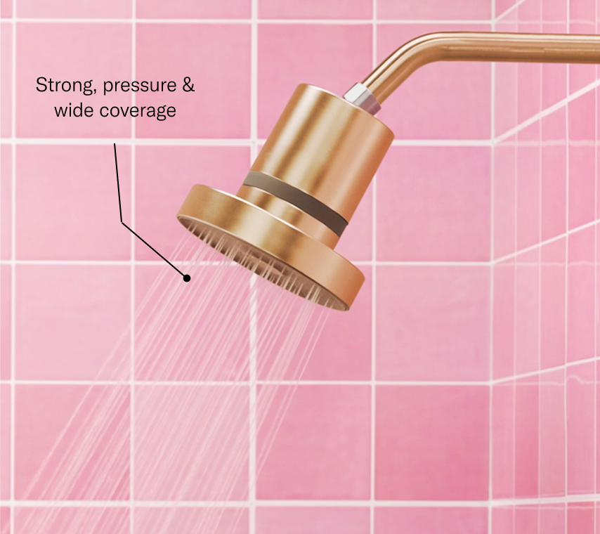 Jolie Skin Co. | The Filtered Shower Head
