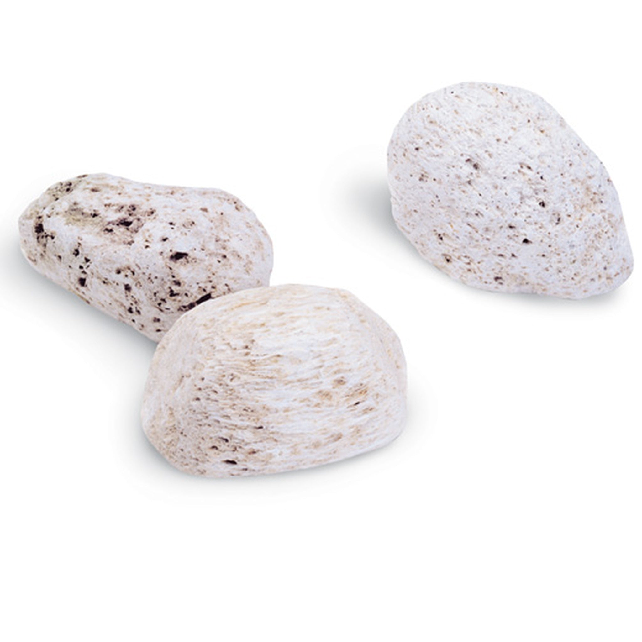 Natural Pumice Stone